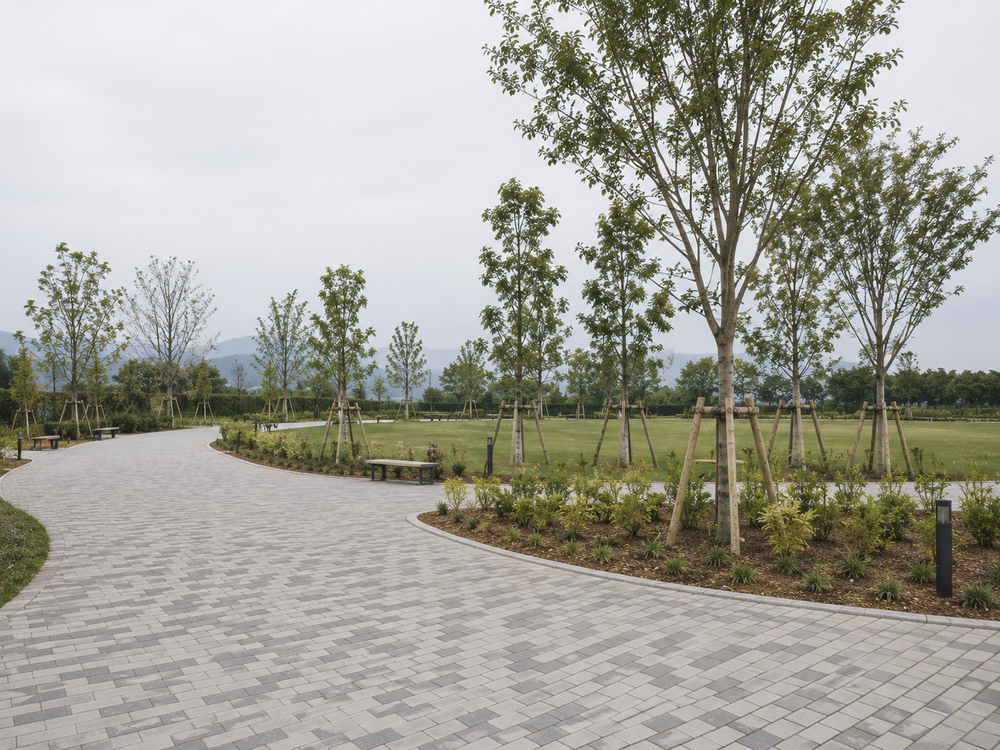 整備を終えた公園の園路と植栽のイメージ（AI生成）